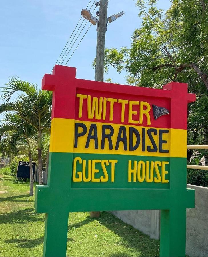 Twitter Paradise Ampeni Kültér fotó
